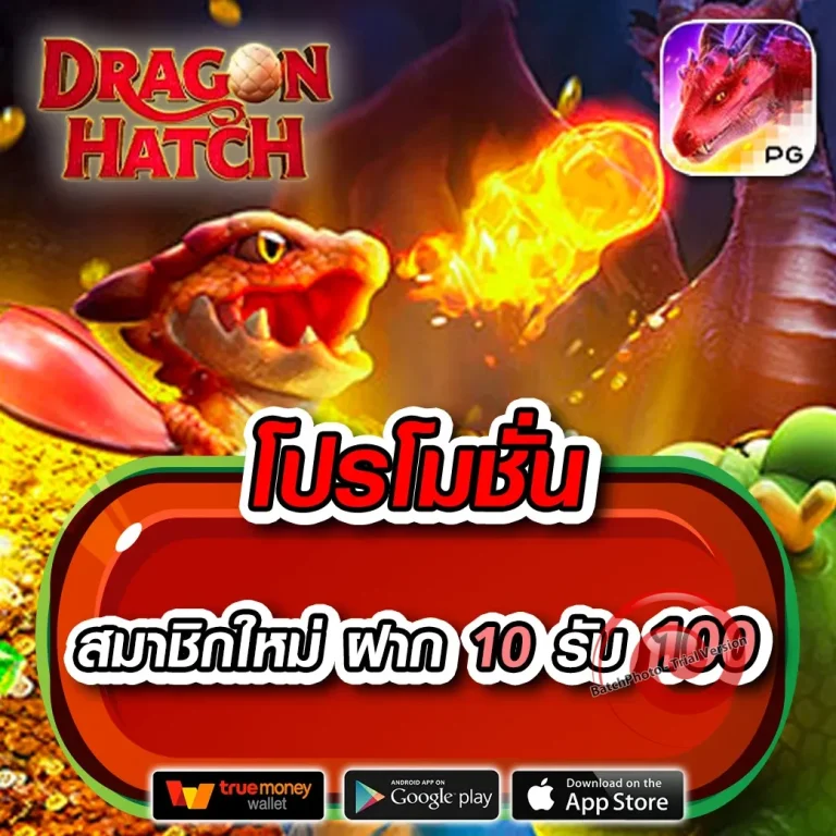 zoro168 เว็บตรง